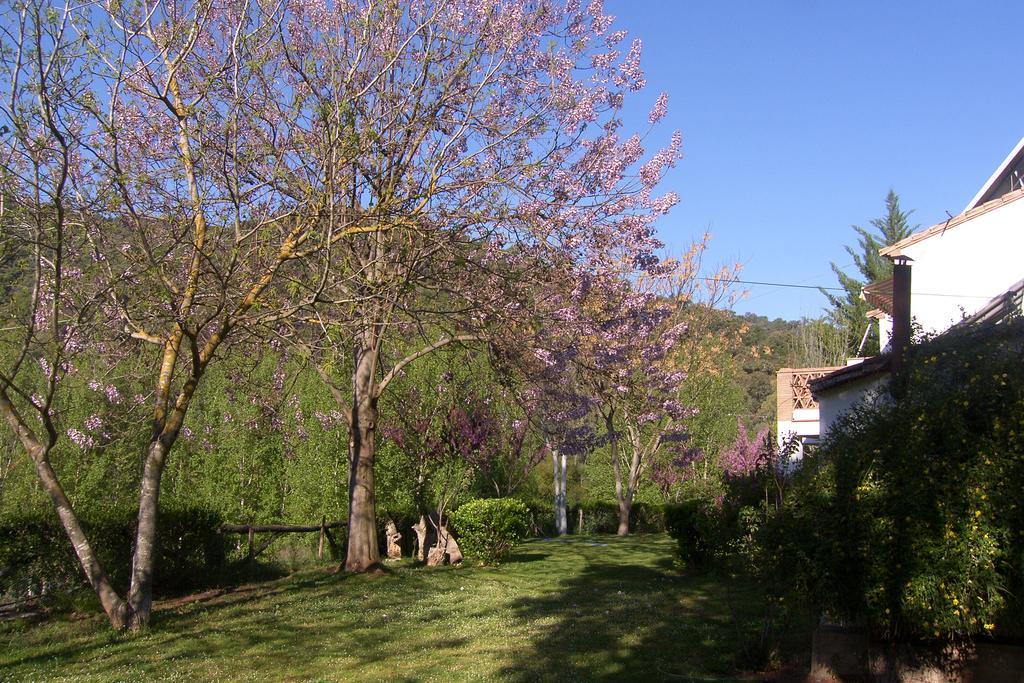 Batan De Las Monjas San Nicolás del Puerto Zewnętrze zdjęcie